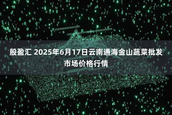股盈汇 2025年6月17日云南通海金山蔬菜批发市场价格行情