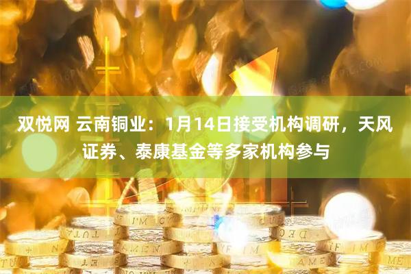 双悦网 云南铜业：1月14日接受机构调研，天风证券、泰康基金等多家机构参与