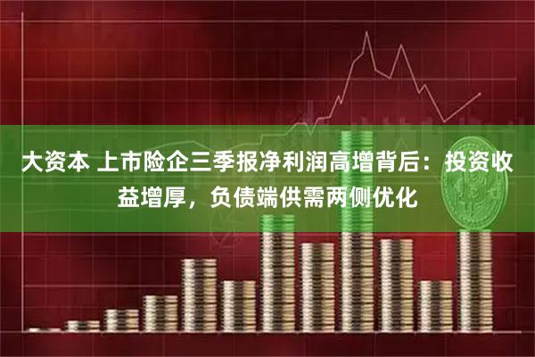 大资本 上市险企三季报净利润高增背后：投资收益增厚，负债端供需两侧优化